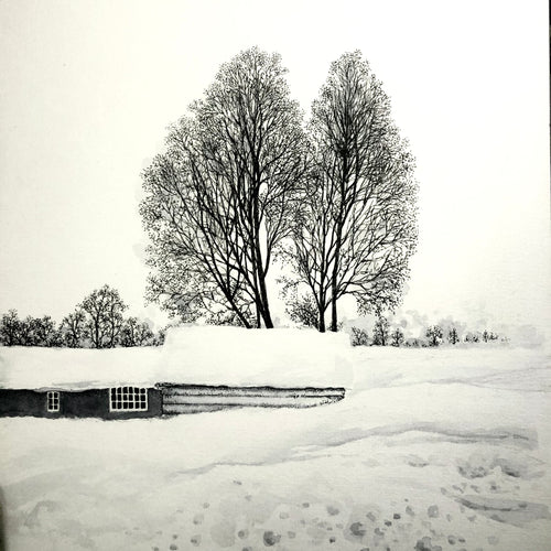 Birch tree